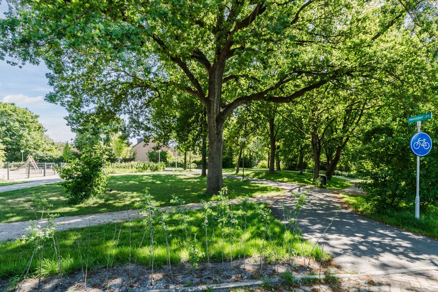 Foto 4 van Vlasland 50