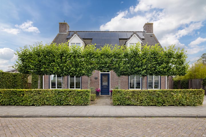 Foto 2 van Saffraan 3