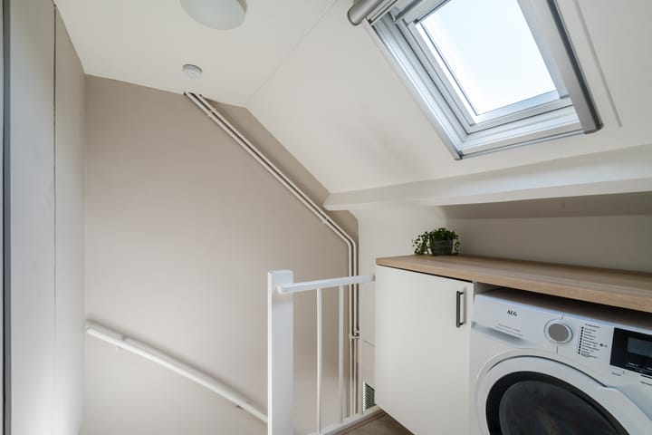 Photo 19 of Vlasland 50