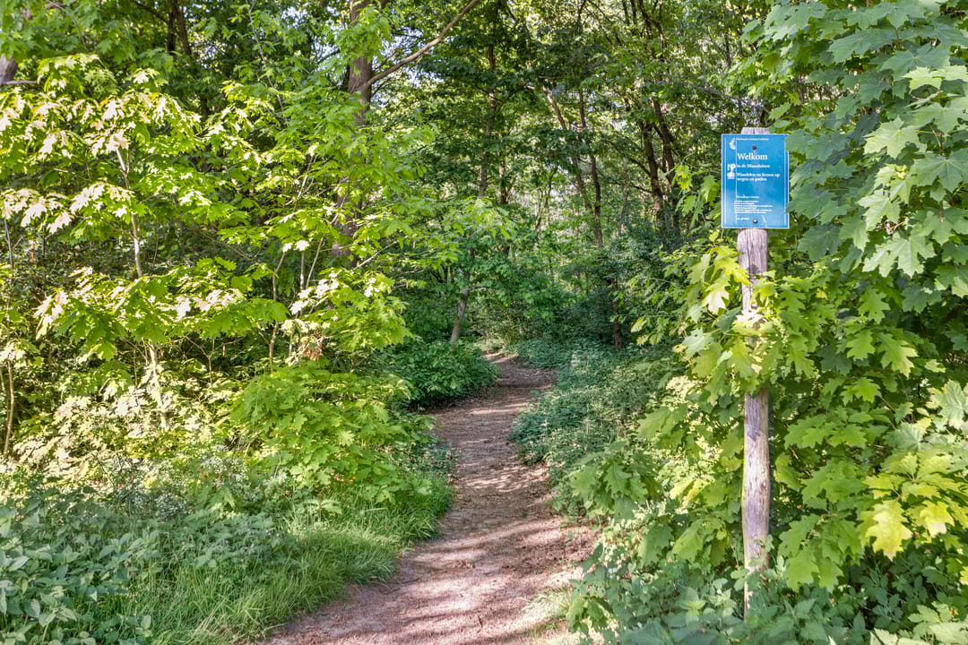 Foto 32 van Marterstraat 18