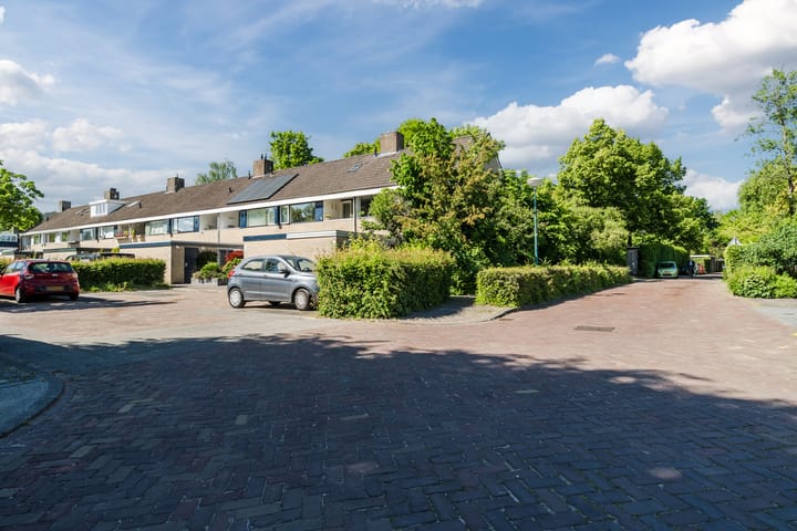 Photo 25 of Vlasland 50