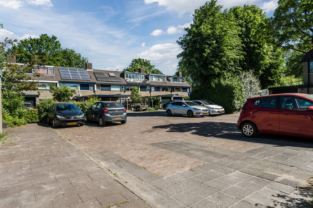 Foto 26 van Vlasland 50