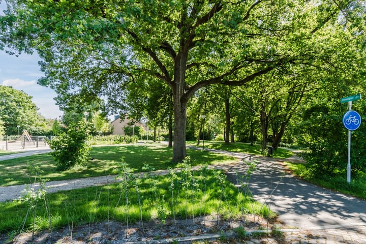 Photo 27 of Vlasland 50