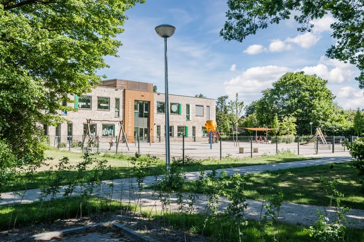 Photo 28 of Vlasland 50