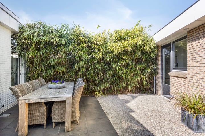 Foto 30 van Koningspage 27