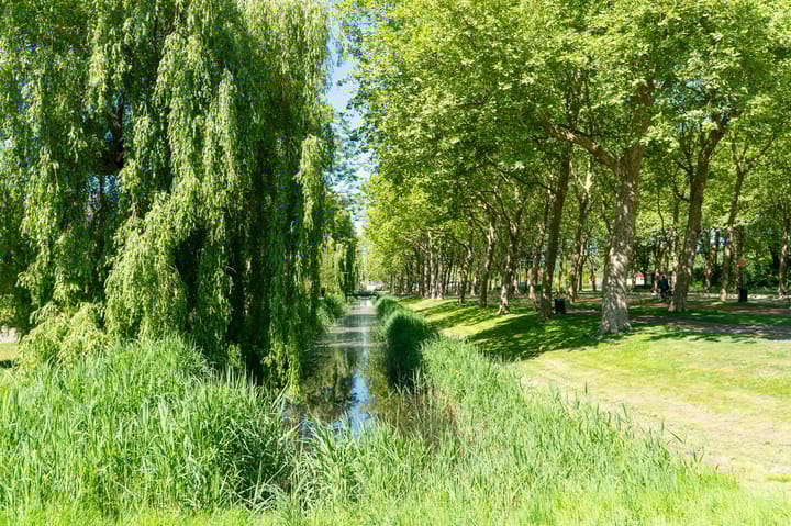 Photo 44 of Klaverruiter 10