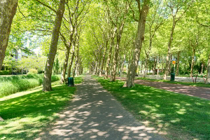 Photo 45 of Klaverruiter 10