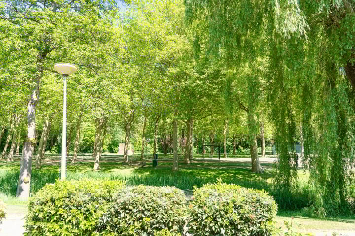 Photo 52 of Klaverruiter 10