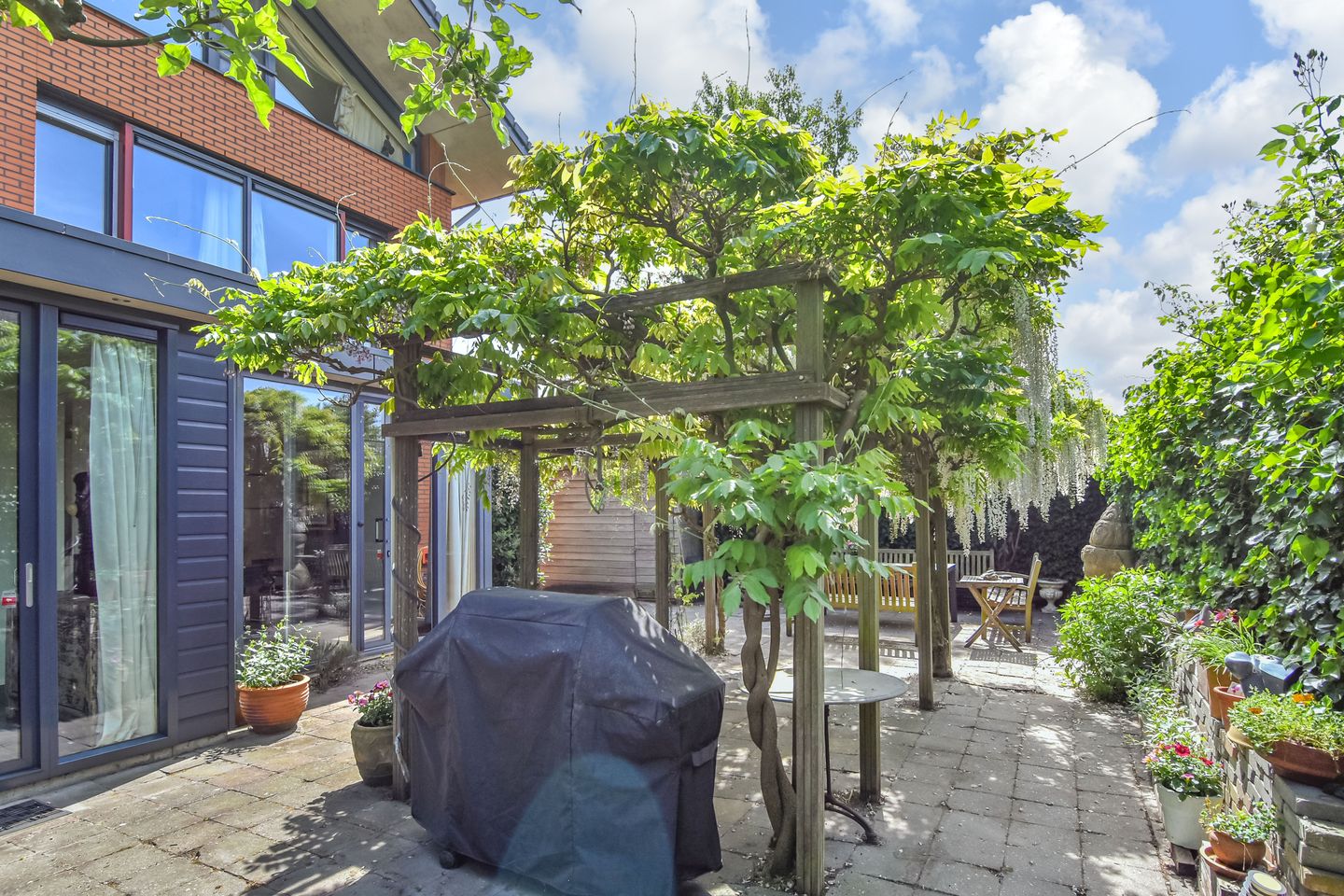 Foto 50 van Papavertuin 14