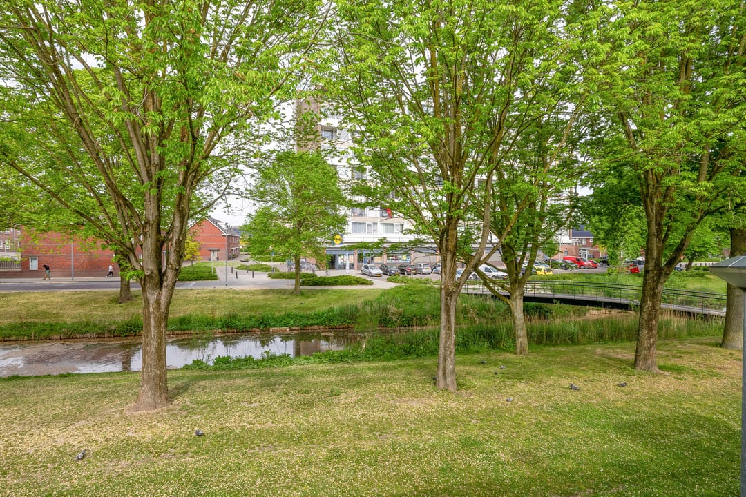 Foto 41 van Buys Ballotsingel 7-B