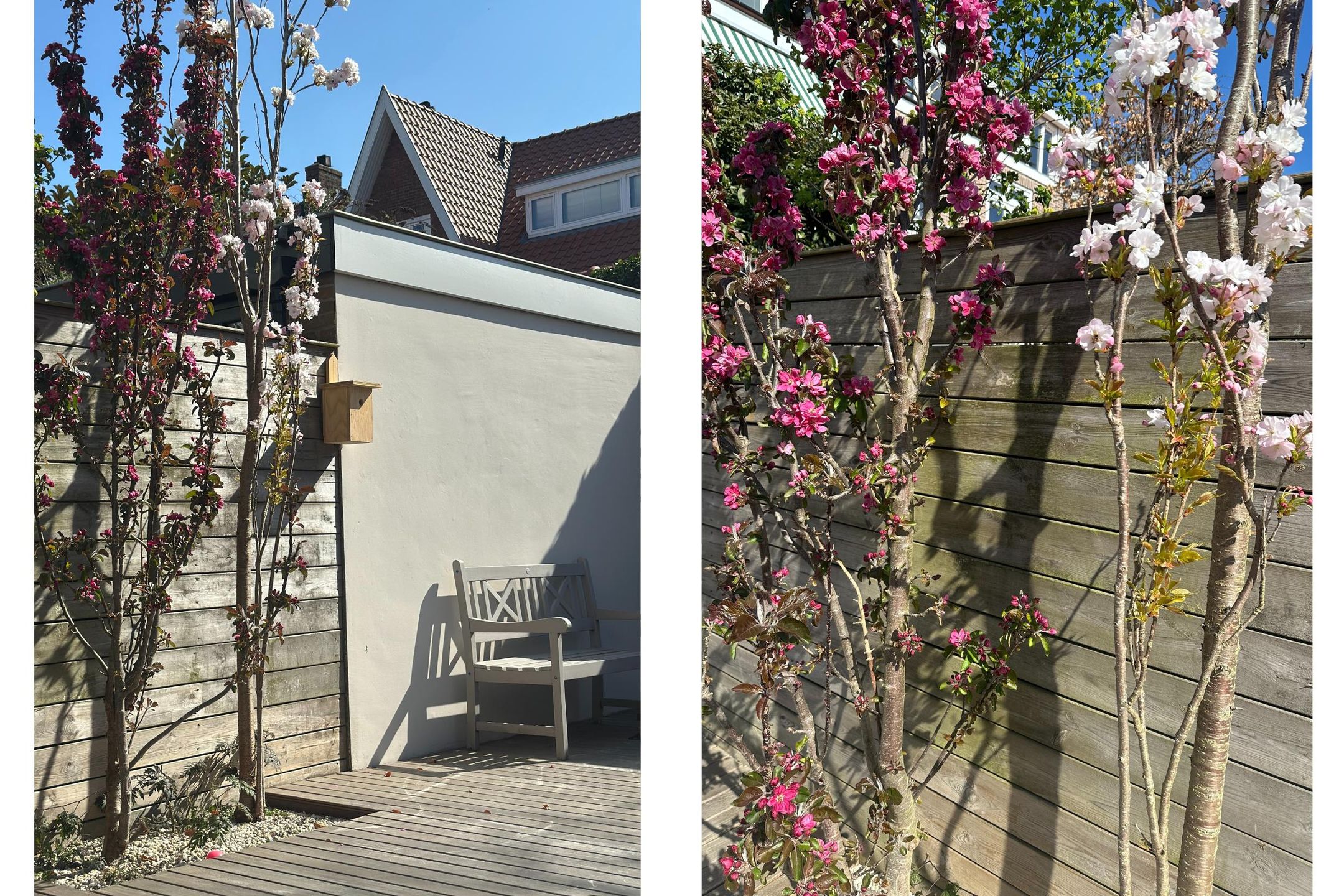 Foto 24 van Oranje Nassaulaan 114