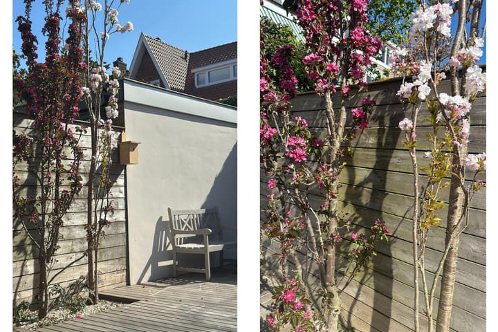 Photo 24 of Oranje Nassaulaan 114