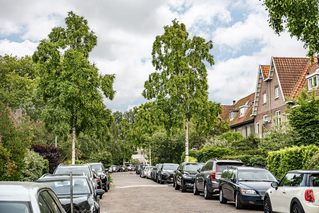 Foto 47 van Oranje Nassaulaan 114