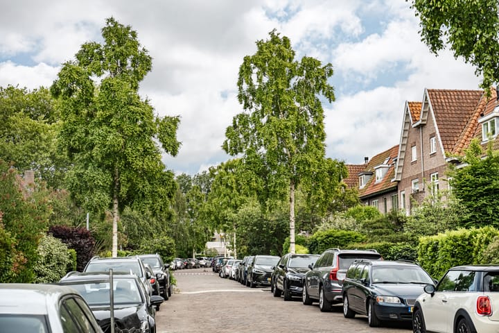 Photo 47 of Oranje Nassaulaan 114