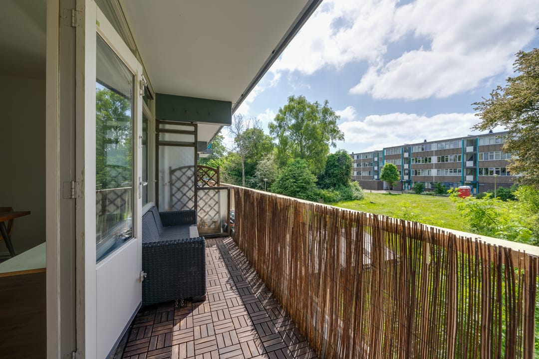 Foto 2 van Spinaker 113