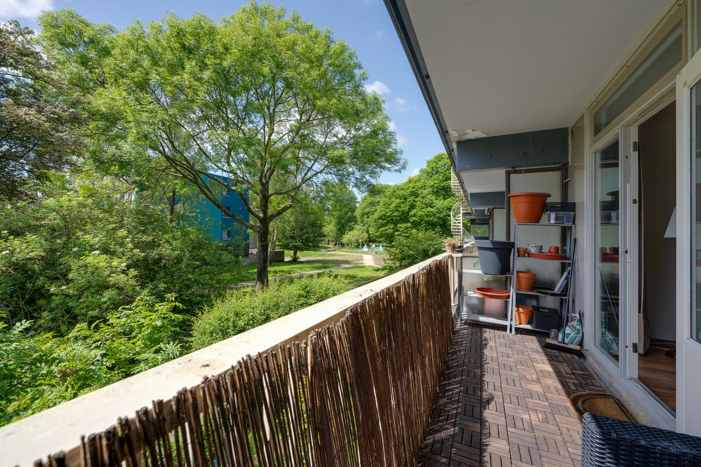 Foto 25 van Spinaker 113