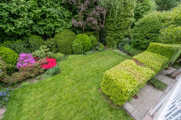 Foto 13 van Lieven de Keystraat 105