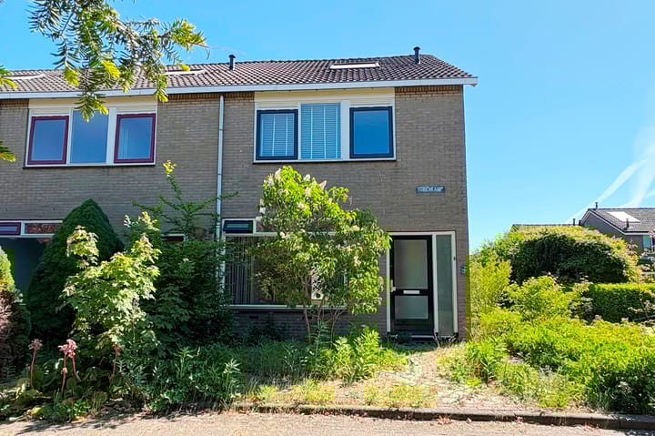 Torenkamp 13