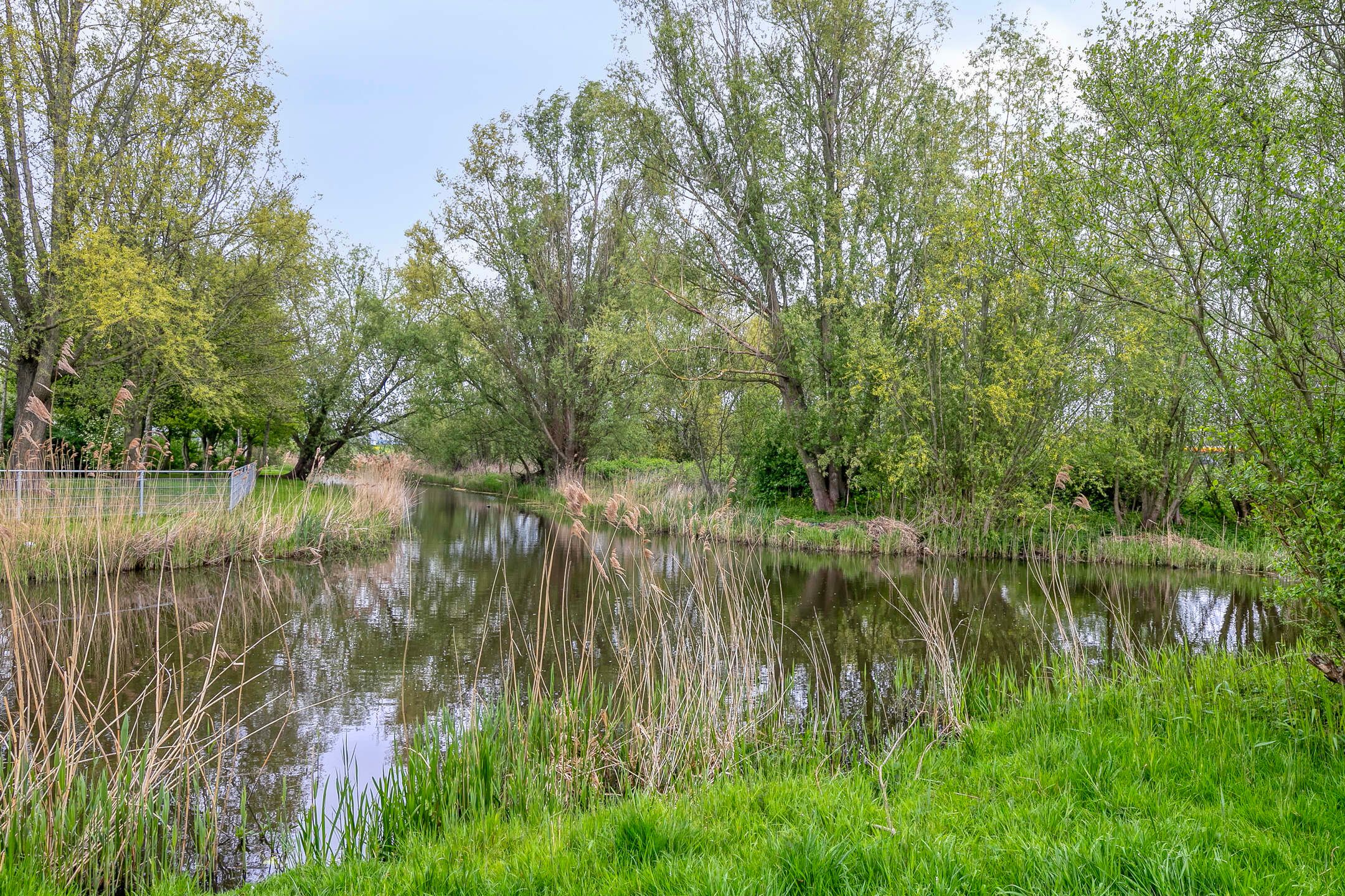 Foto 36 van Martiniquestraat 17