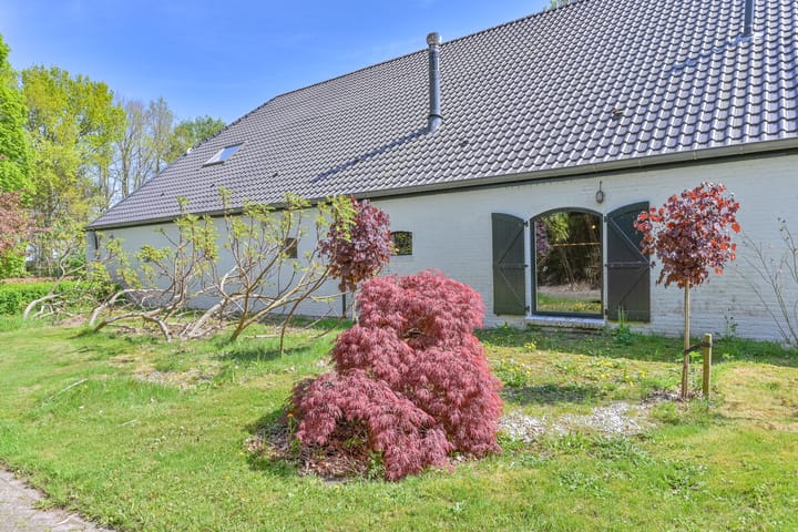 Photo 17 of Boetseweg 25