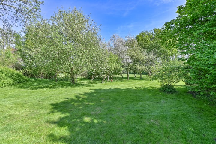 Photo 159 of Boetseweg 25