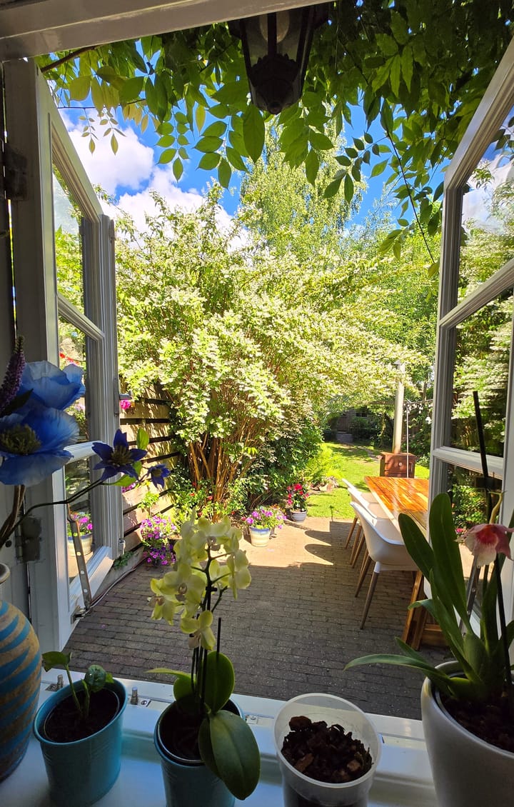 Foto 8 van Noorderweg 27