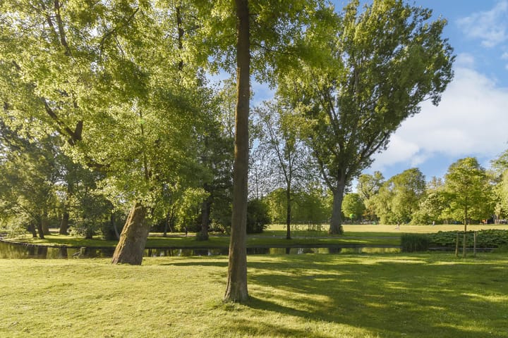 Foto 24 van Vrolikstraat 100-1