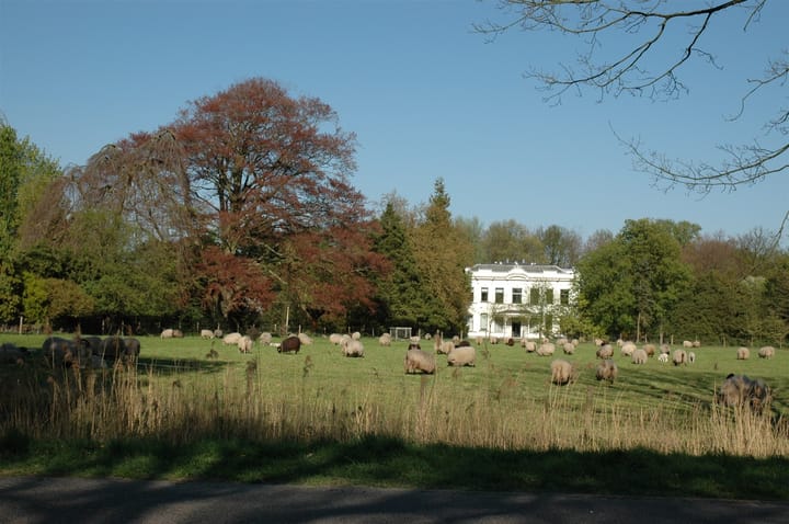 Foto 28 van Hamseweg 81