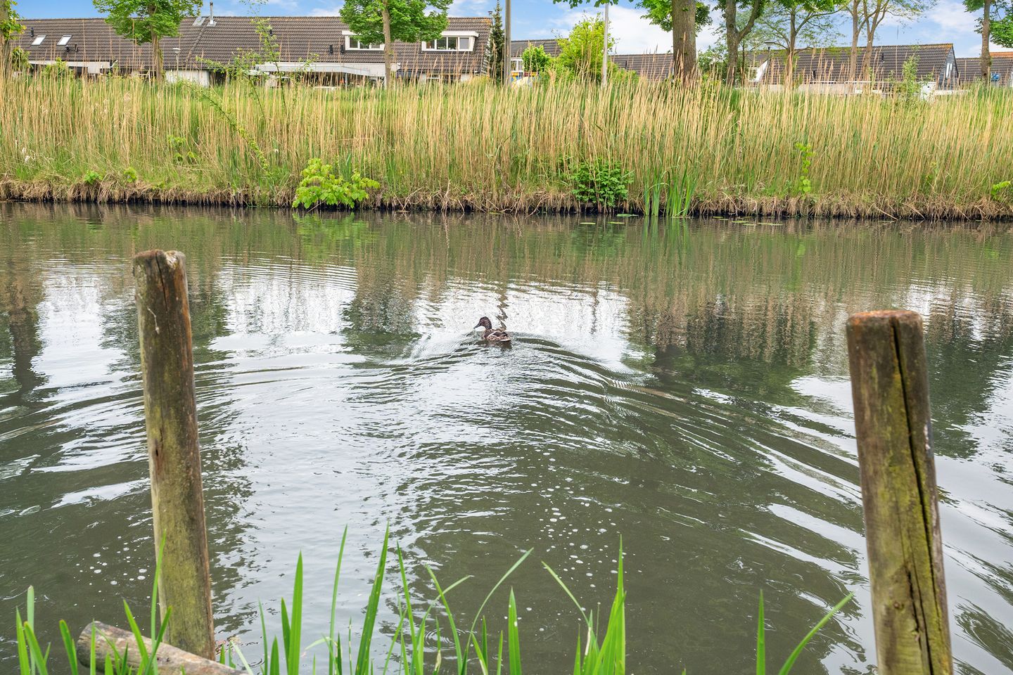 Foto 55 van Beverveld 34