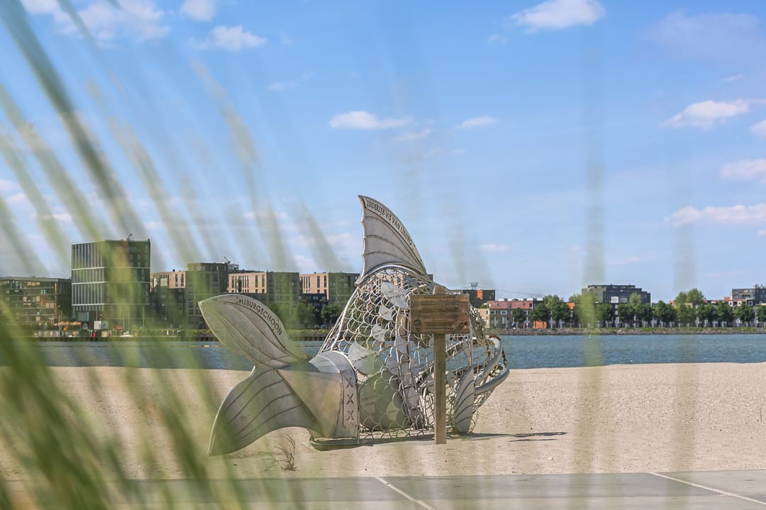 Foto 28 van Cola Debrotstraat 6