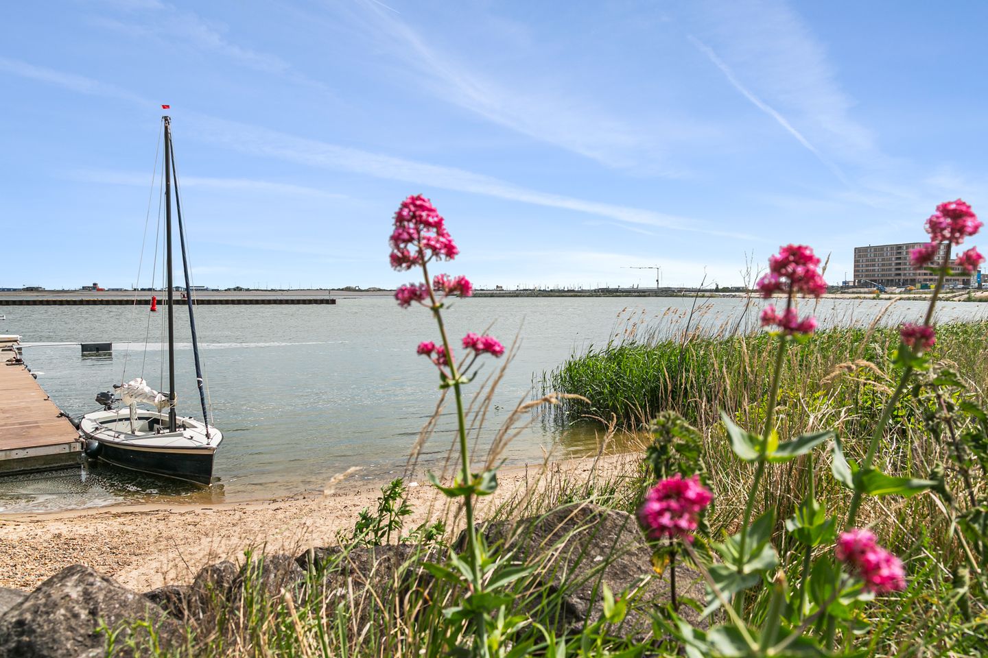 Foto 29 van Cola Debrotstraat 6