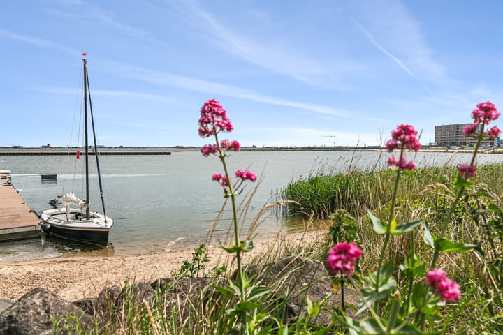 Foto 29 van Cola Debrotstraat 6