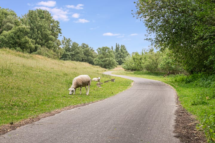 Foto 31 van Cola Debrotstraat 6