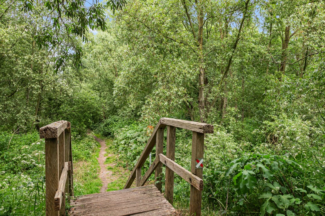 Foto 32 van Cola Debrotstraat 6