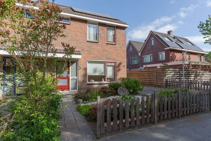 Photo 3 of Gentiaan 4