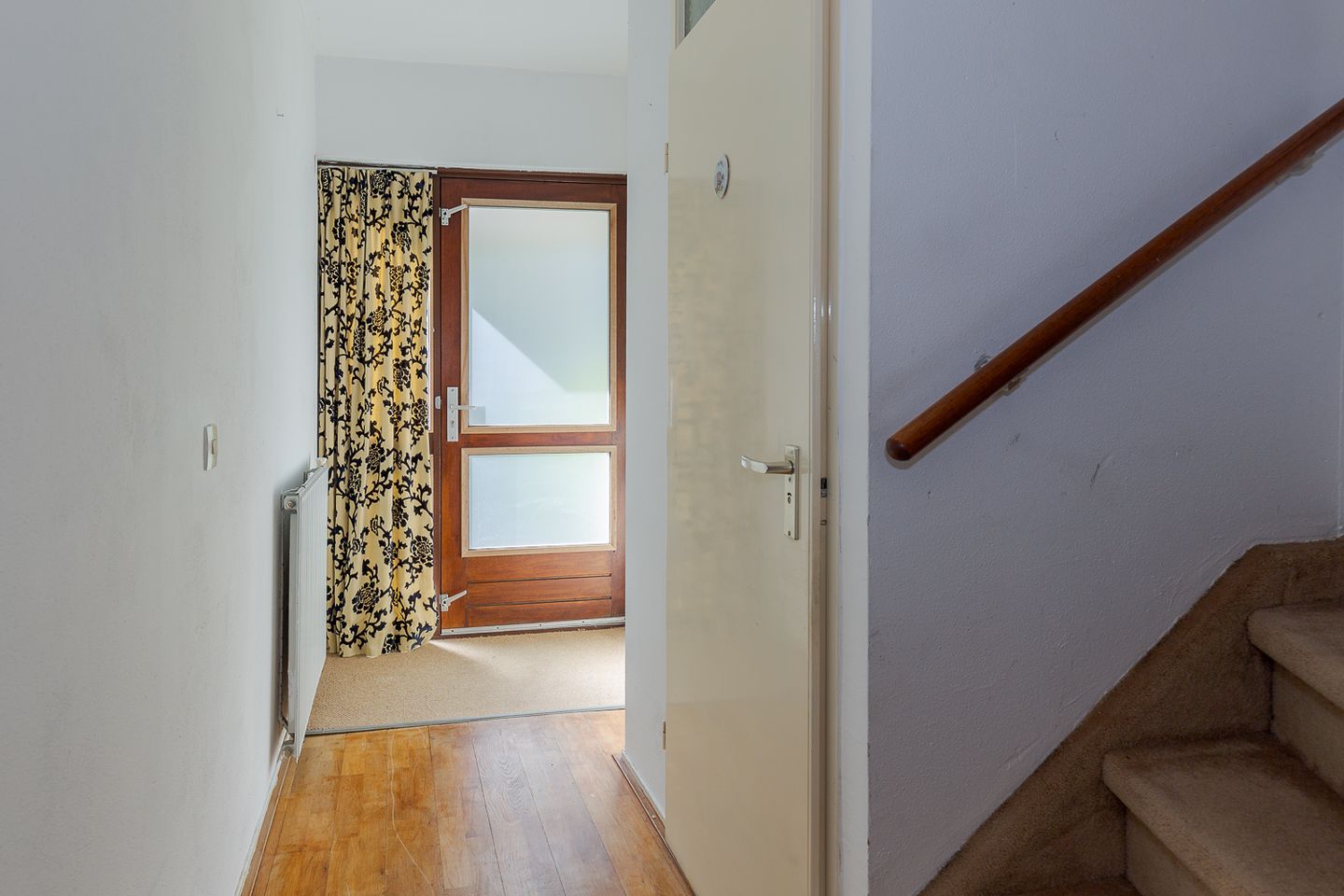 Foto 5 van Gentiaan 4