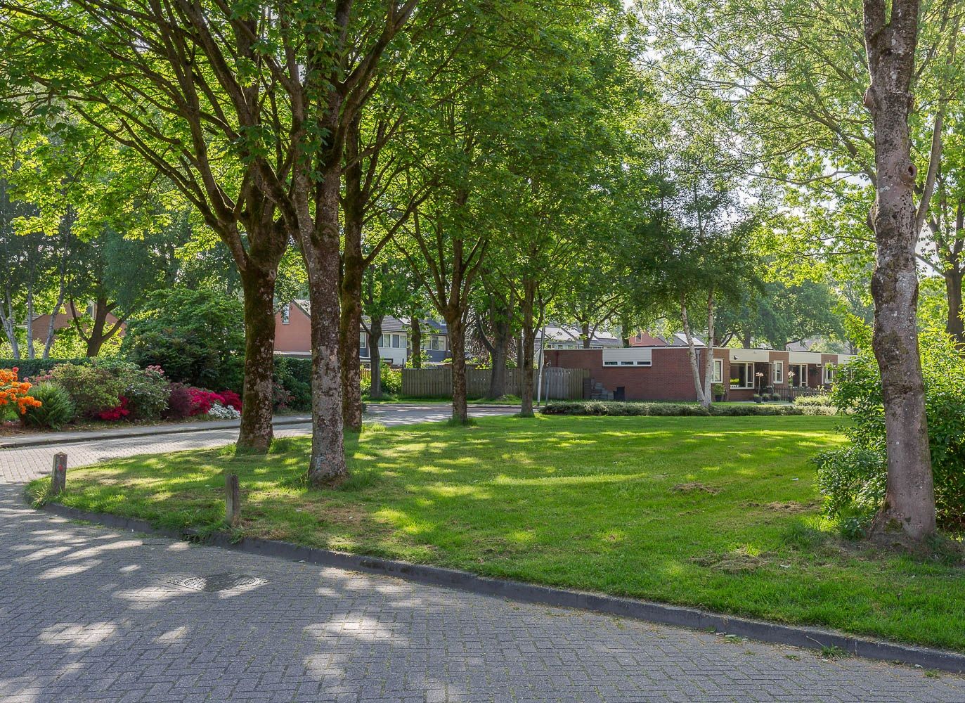 Foto 36 van Gentiaan 4