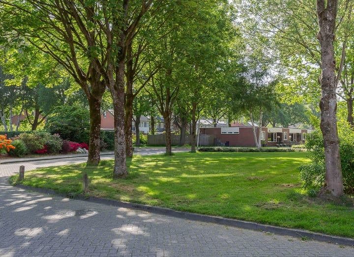 Photo 36 of Gentiaan 4