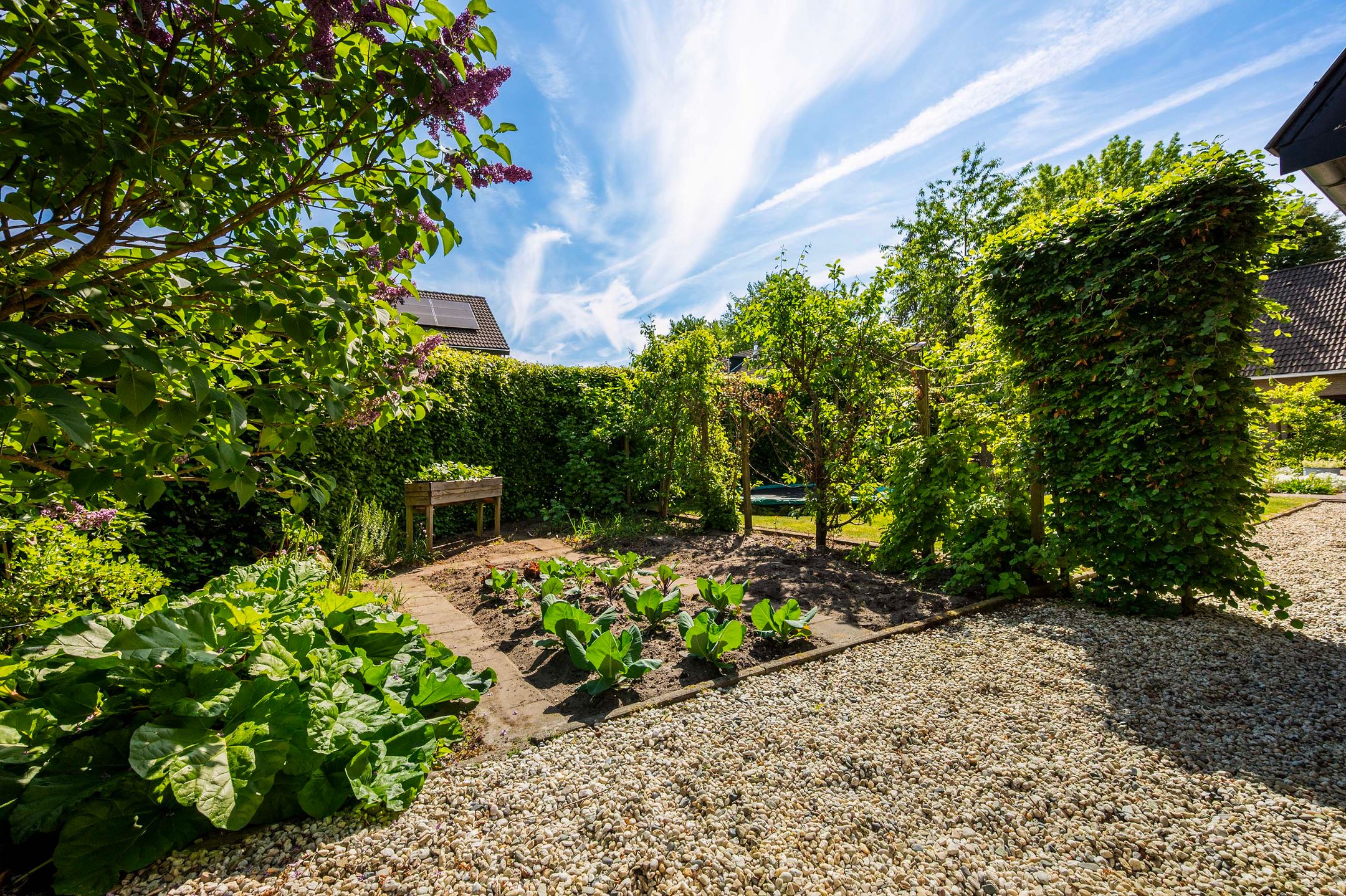 Foto 30 van Tuinmansdwarslaan 10