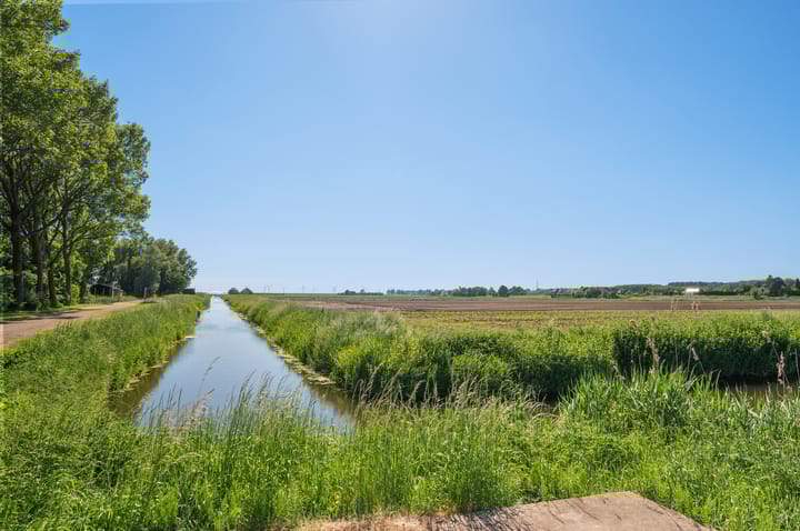 Photo 22 of Bolderik 5