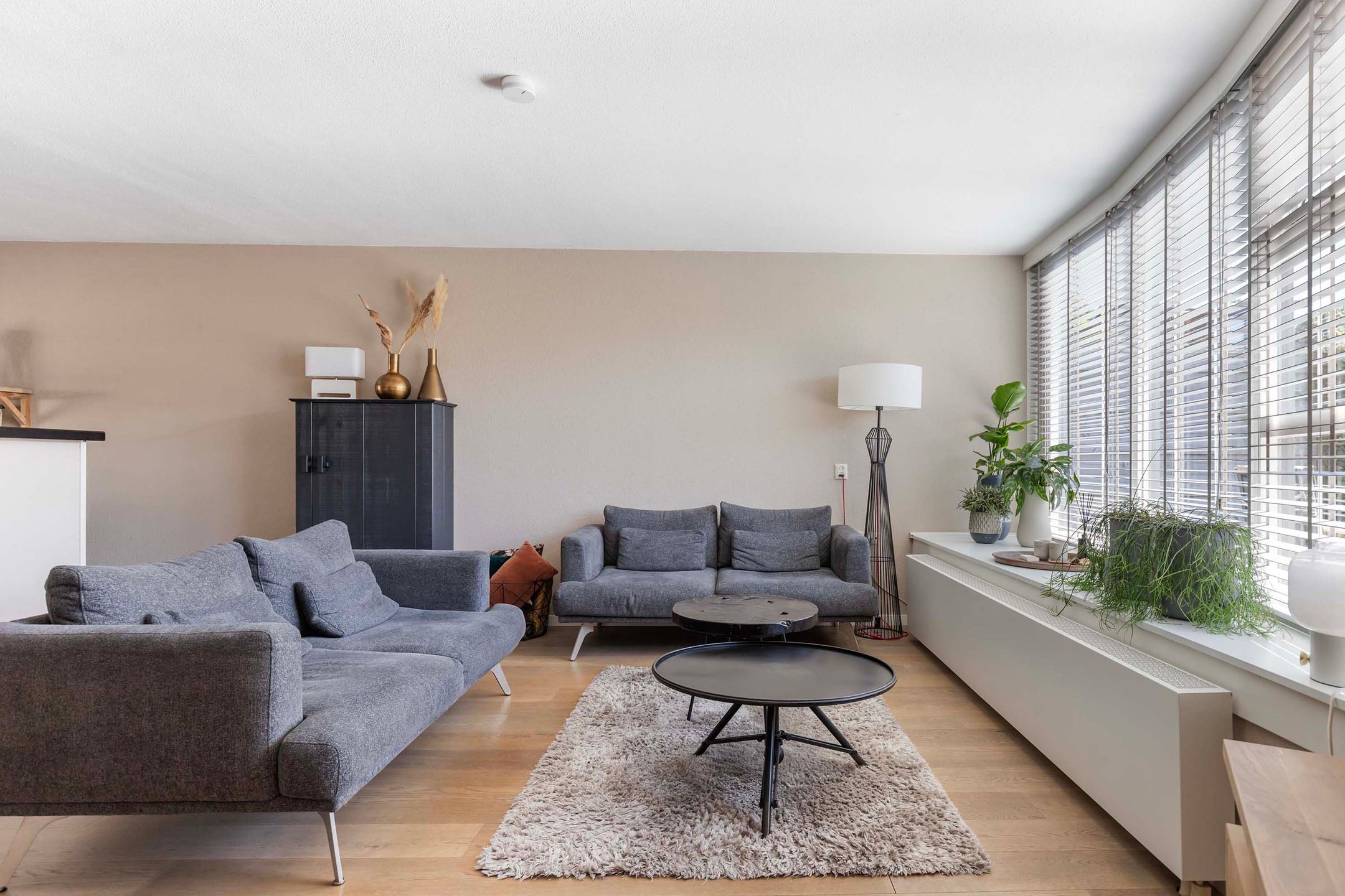 Foto 3 van Westkreek 19