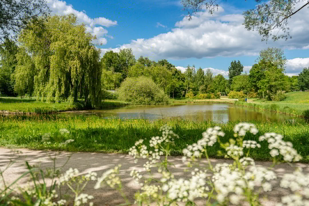 Foto 22 van Ten Oeverstraat 130