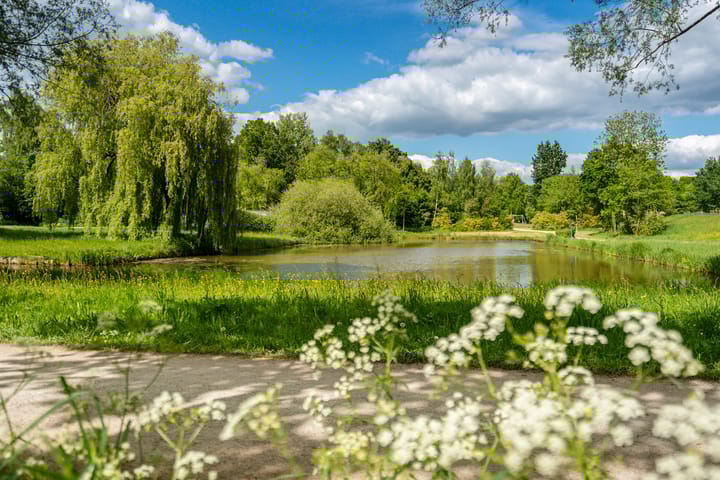 Foto 22 van Ten Oeverstraat 130