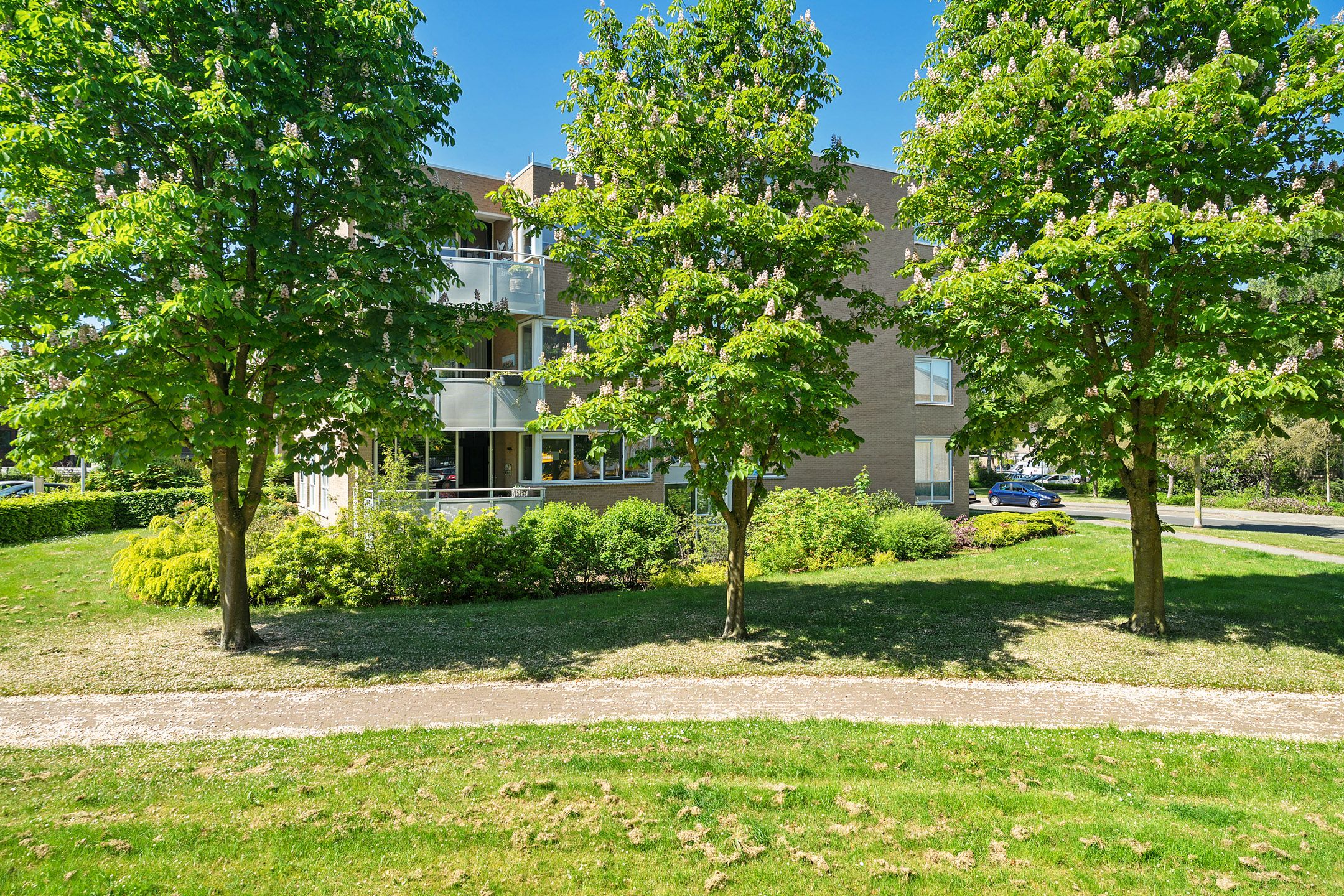 Foto 30 van Curiestraat 53