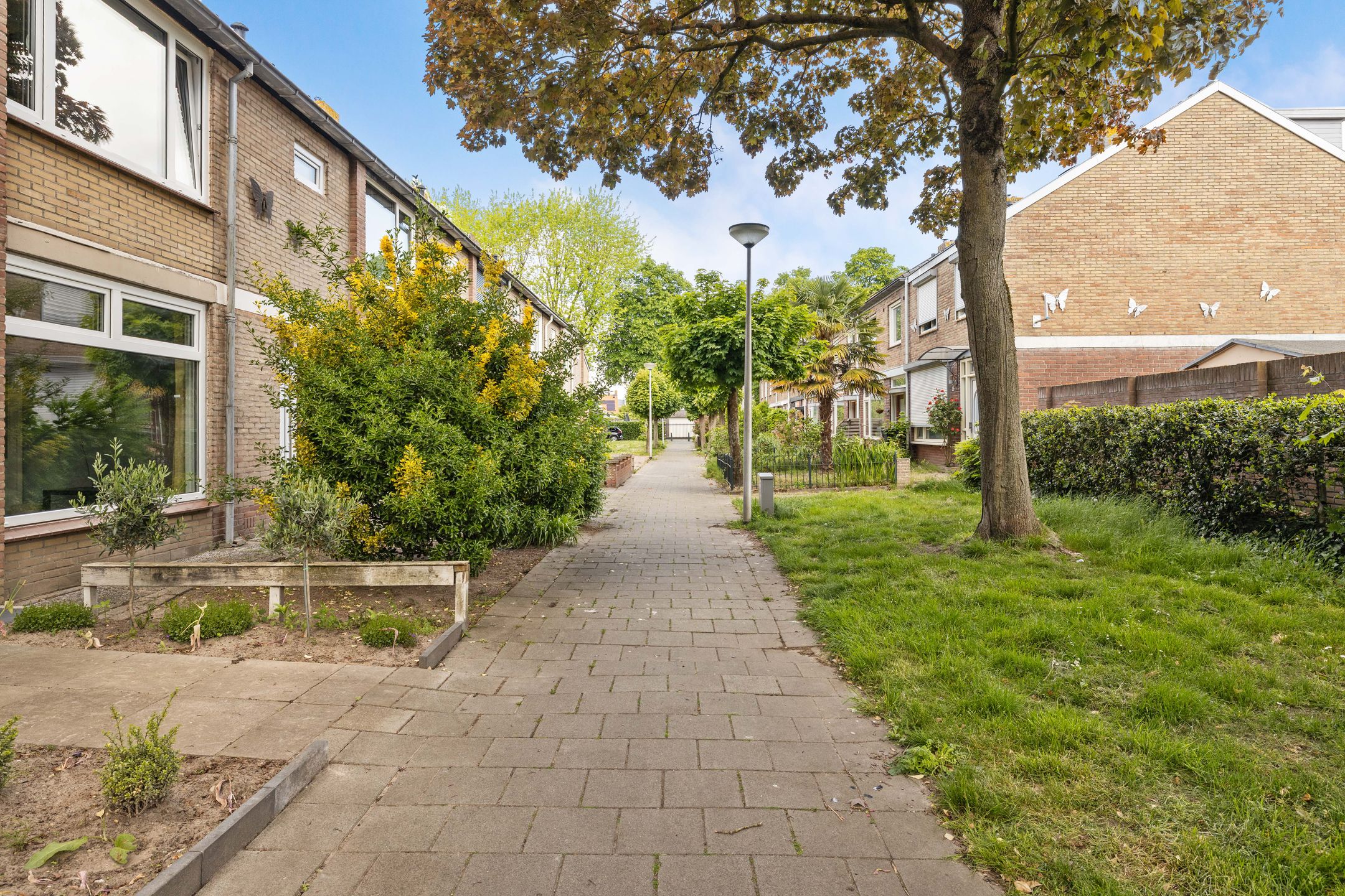 Photo 33 of Esdoornstraat 10