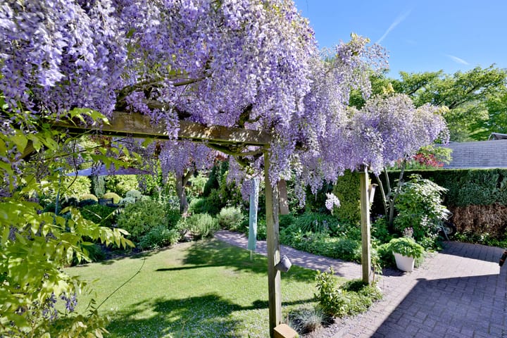 Foto 48 van Tijinkweg 7