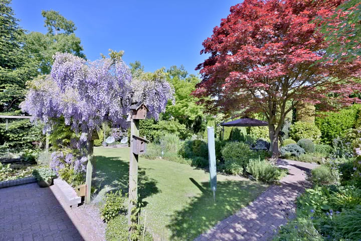 Foto 50 van Tijinkweg 7