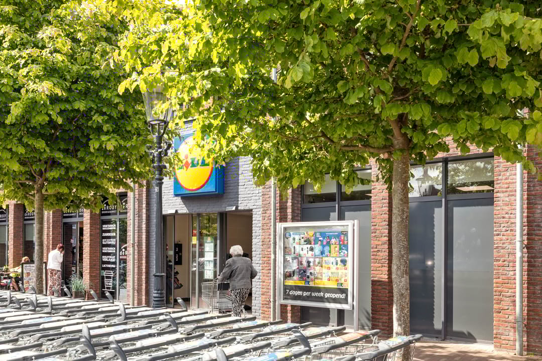 Photo 38 of Esdoornstraat 10