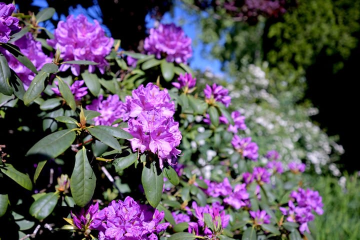 Foto 56 van Tijinkweg 7