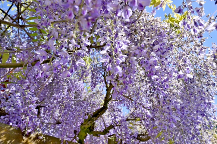 Foto 64 van Tijinkweg 7